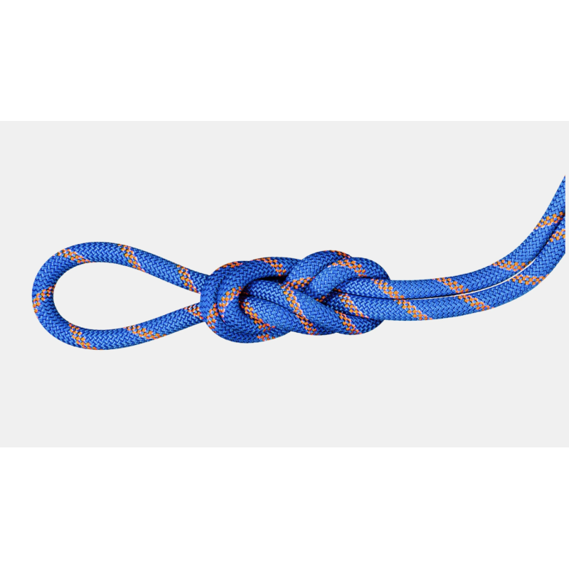 9.0 Alpine Sender Dry Rope