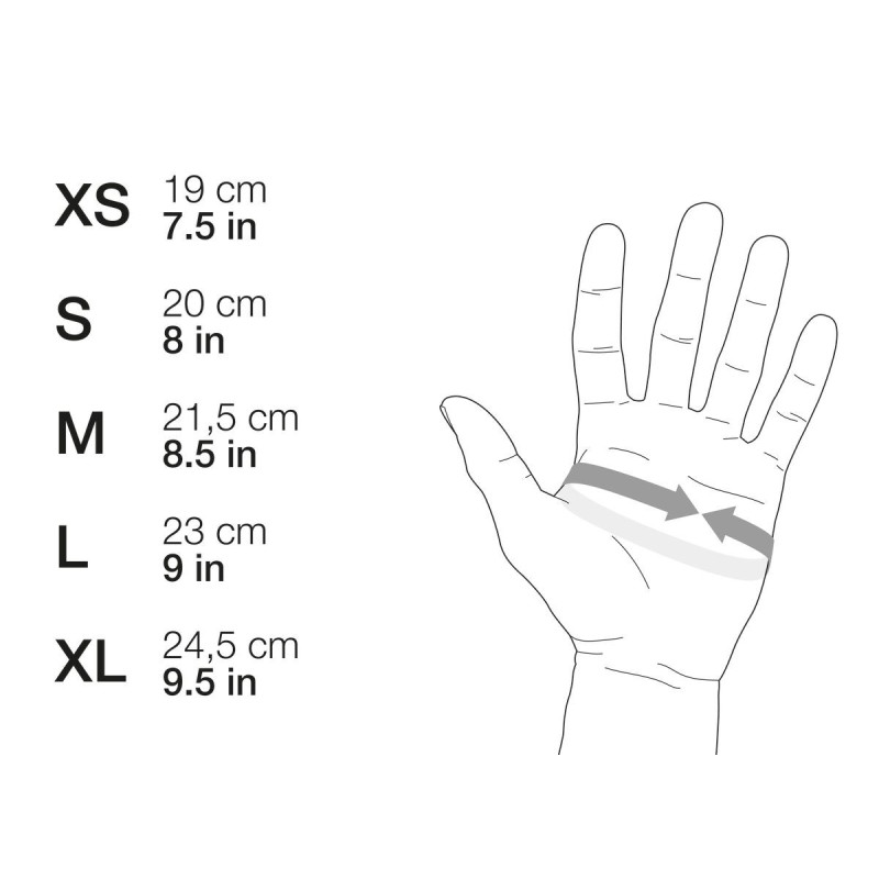 CORDEX