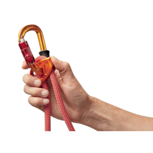 DUAL CONNECT VARIO