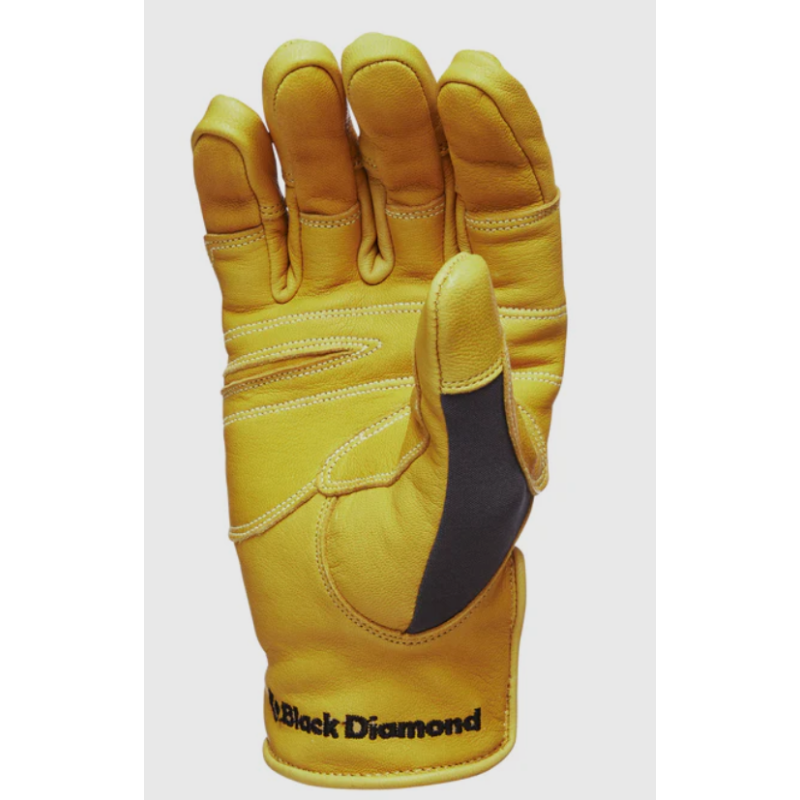 TRANSITION GLOVES