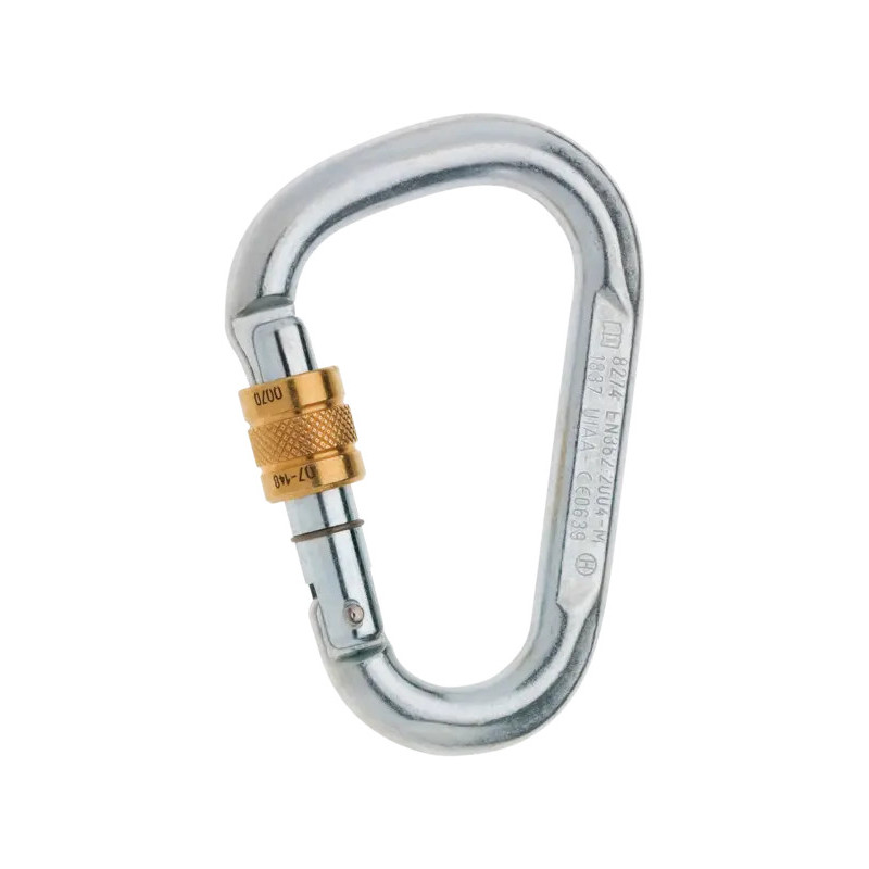 Steel HMS Screw